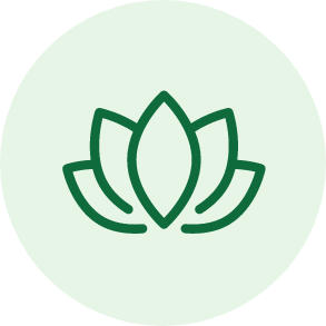 The Grove Recovery | Group 36